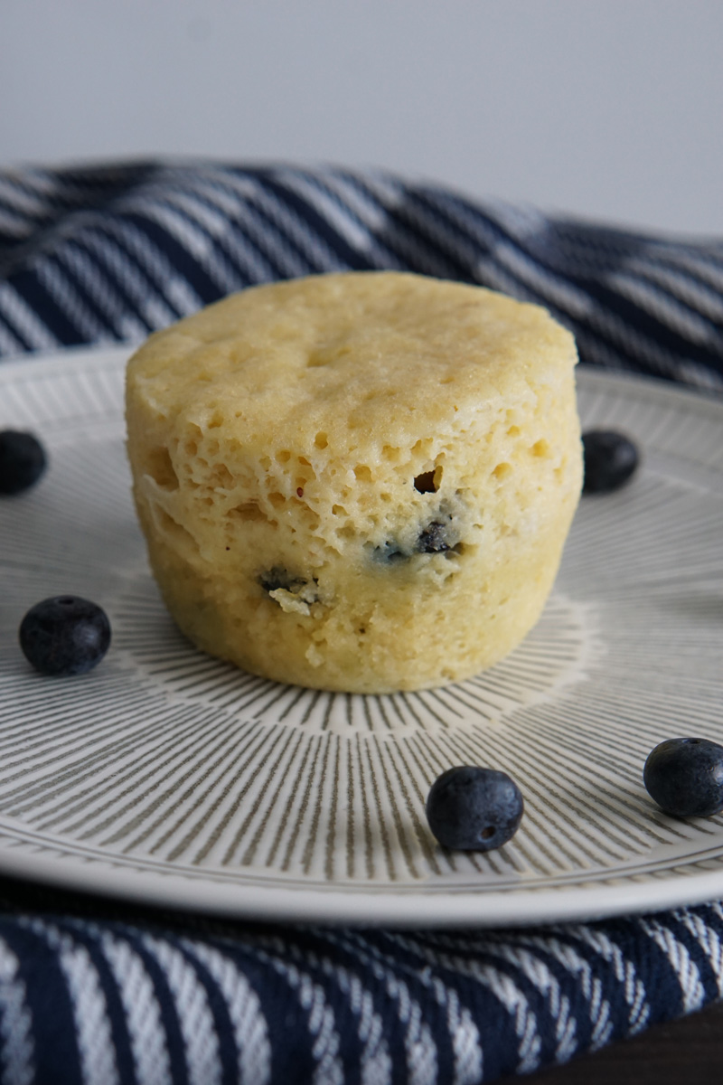 Blueberry Mug Cake