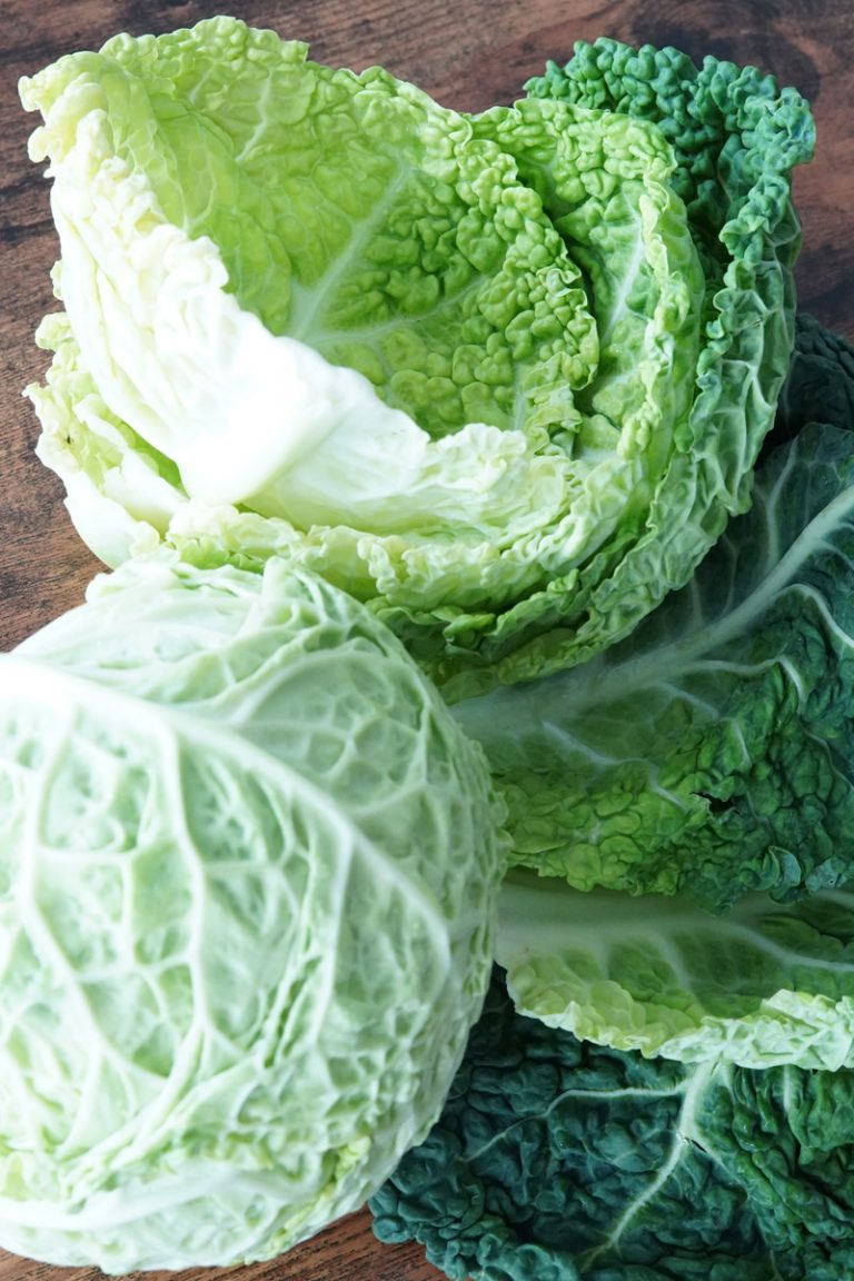 How Many Carbs Are In Cabbage? Delightfully Low Carb
