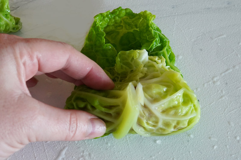 Rolling a cabbage roll up