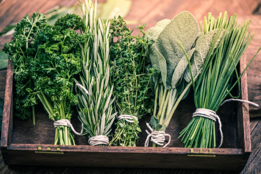 herbs to use for garnish