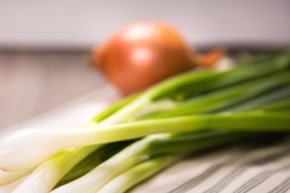 white vs green onion